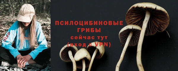 прущая мука Заводоуковск