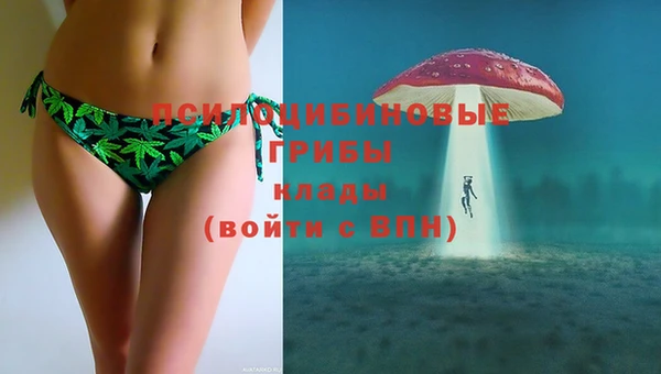 прущая мука Заводоуковск
