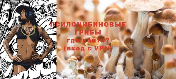 мдпв Заволжск